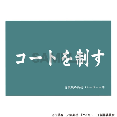 【グッズ-クリアファイル】ハイキュー!! シングルクリアファイル 青葉城西高校
