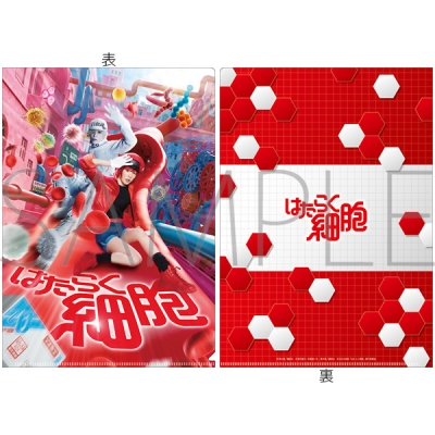 【グッズ-クリアファイル】はたらく細胞 クリアファイル