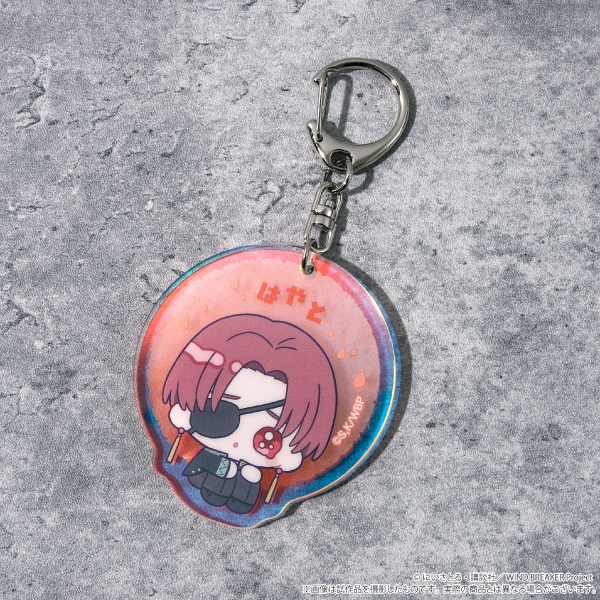 [Good-keychain] WIND BREAKER hologram keychain/Su Fang Hayabusa Flying Piens