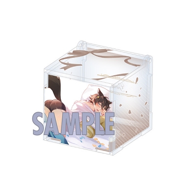 【グッズ-収納BOX】NU: カーニバル 組み立てアクリルボックス/お誕生日ver. ガル