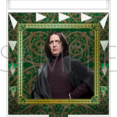 【グッズ-ミラー】ハリーポッター ジュエルミラー(セブルス・スネイプ)