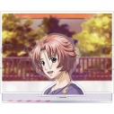 【グッズ-スタンドポップ】ときめきメモリアル Girl's Side 大接近アクリルジオラマ/天地翔太の画像
