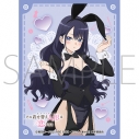 【TCG-スリーブ】ムービック きゃらスリーブコレクション マットシリーズ TVアニメ「その着せ替え人形は恋をする」Season 2 海夢(ありさ)(No.MT2419)の画像