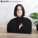 【グッズ-ボード】ハリー・ポッター 特大ダイカットアクリルパネル(セブルス・スネイプ)の画像