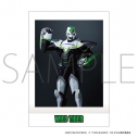 【グッズ-ブロマイド】「TIGER & BUNNY」THE STAGE ぱしゃこれ 舞台版の画像