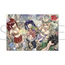 【グッズ-ボード】FAIRY TAIL アクリルアートパネルの画像