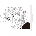 【グッズ-ブロマイド】FAIRY TAIL ぱしゃこれの画像