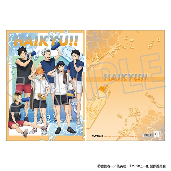 [Good-Clear File] Haikyu!! Clear File/Cool Down Fair