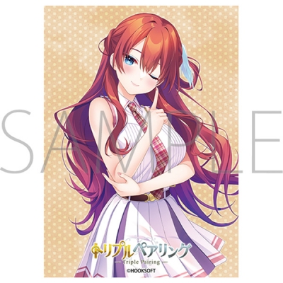 【グッズ-カードケース】ムービック きゃらスリーブコレクション マットシリーズ HOOKSOFT 「トリプルペアリング」 大鳳峰 ナスカ(No.MT2476)
