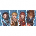 【グッズ-タオル】GRANBLUE FANTASY: Relink - Endless Ragnarok スポーツタオル/Dの画像