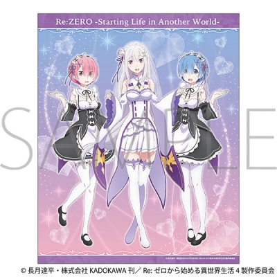 【グッズ-ボード】Re:ゼロから始める異世界生活 キャンバスボード