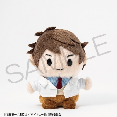 【グッズ-ぬいぐるみ】ハイキュー!! ぱやぱやっこぬいぐるみ 及川 徹
