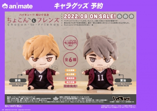 グッズ ぬいぐるみ ハイキュー ぬいぐるみ ちょこんとフレンズ 宮侑 アニメイト