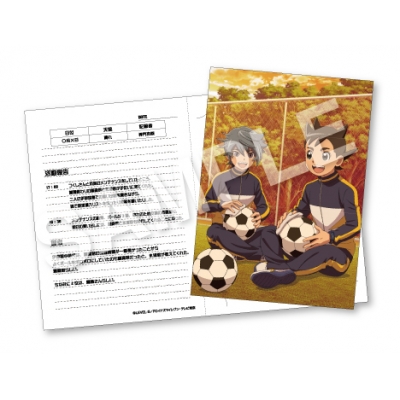 【グッズ-カード】イナズマイレブン 活動録フォトシート 稲森明日人&氷浦貴利名