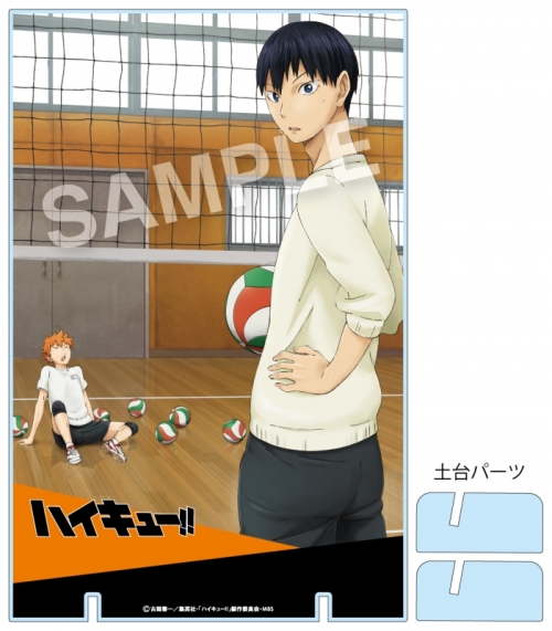 グッズ ボード ハイキュー 活動録 アクリルパネル 日向翔陽 影山飛雄 アニメイト