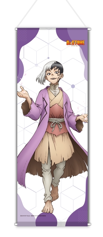 グッズ-タペストリー】Dr.STONE 『描き下ろし』ミニタペストリー 