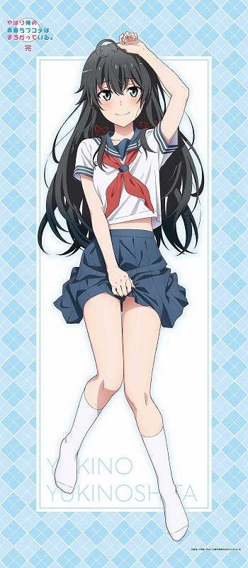 グッズ-タペストリー】やはり俺の青春ラブコメはまちがっている。完 