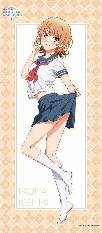 グッズ-タペストリー】やはり俺の青春ラブコメはまちがっている。完 