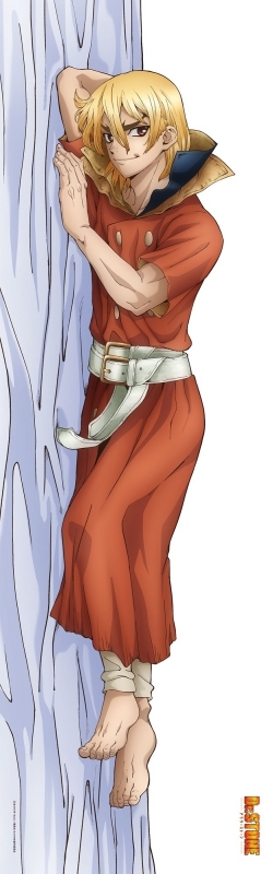グッズ-ピローケース】Dr.STONE 描き下ろしプレミアム抱き枕カバー 
