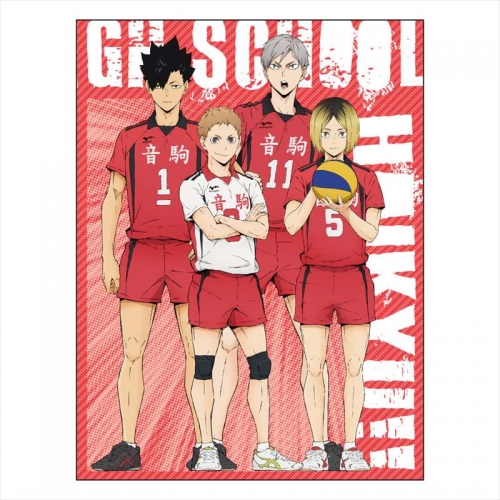 グッズ クリアファイル ハイキュー To The Top 6ポケットジップ付クリアファイル 音駒高校 アニメイト