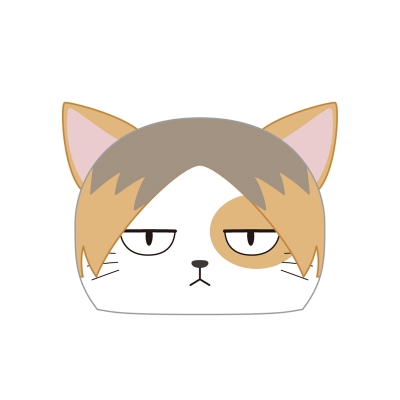 【グッズ-クッション】ハイキュー!! ビッグクッション ケンマネコ