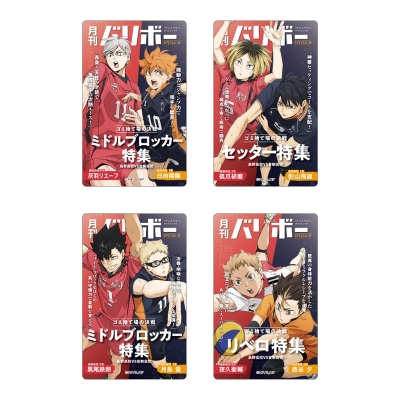 【グッズ-カード】ハイキュー!! カードセレクション 月刊バリボー第2弾(全4種)