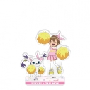 【グッズ-スタンドポップ】デジモンアドベンチャー ペアアクリルスタンド / 八神ヒカリ&テイルモンの画像