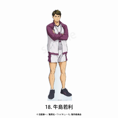 【グッズ-スタンドポップ】アニメ「ハイキュー!!」 フチなしアクリルスタンド 18.牛島 若利