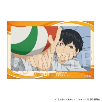 【グッズ-置きもの】ハイキュー!! 積み積みブロック vol.9 1