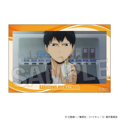 【グッズ-置きもの】ハイキュー!! 積み積みブロック vol.9 2