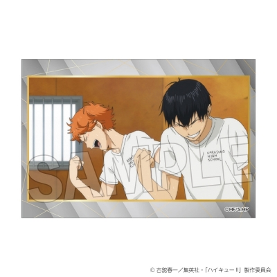 【グッズ-スタンドポップ】ハイキュー!! スタパネ ミニ vol.9 1