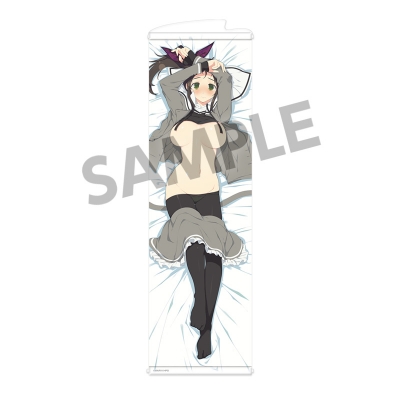 【グッズ-タペストリー】閃乱カグラ スリムタペストリー vol.3 叢A