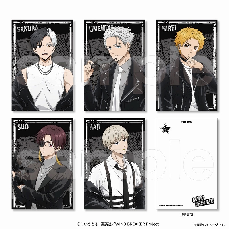 【グッズ-ポストカード】WIND BREAKER ポストカードセット(ロックレザー)