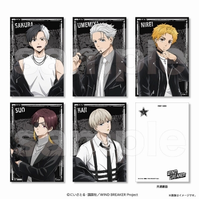 【グッズ-ポストカード】WIND BREAKER ポストカードセット(ロックレザー)