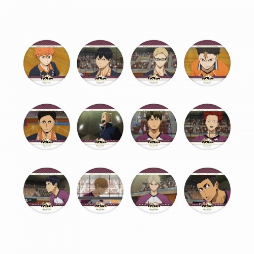 グッズ-バッチ】ハイキュー!! トレーディング缶バッジ メモリアル 