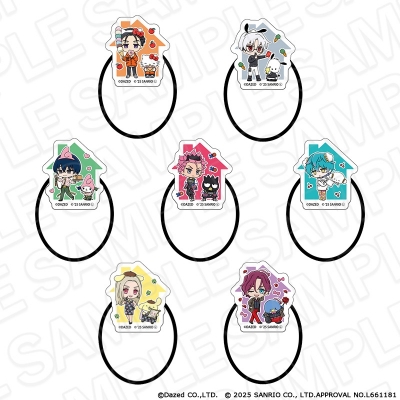 【グッズ-ヘアバンド】カリスマ × サンリオキャラクターズ アクリルヘアゴム(ブラインド) vol.2