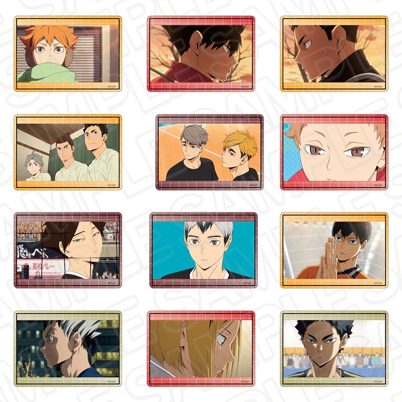 【グッズ-カードケース】アニメ「ハイキュー!!」 硬質カードケース（ランダム）