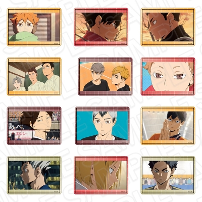 【グッズ-カードケース】アニメ「ハイキュー!!」 硬質カードケース(ランダム)