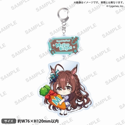 【グッズ-キーホルダー】ウマ娘 プリティーダービー むぎゅみにアクリルキーホルダー vol.4 メジロブライト