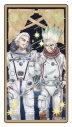 【グッズ-カード】Dr.STONE クリアカード 千空&白夜の画像