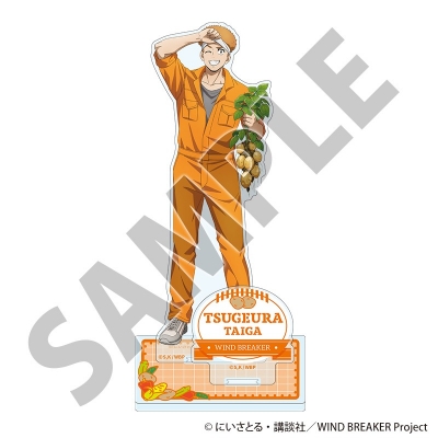 【グッズ-スタンドポップ】WIND BREAKER アクリルスタンド お野菜収穫ver. 柘浦大河