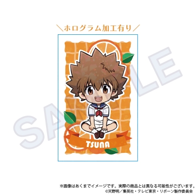 【グッズ-カード】家庭教師ヒットマンREBORN! トレーディングホログラムカード フルーツポップver.