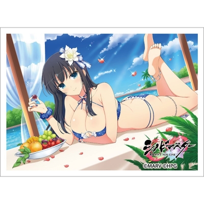 【グッズ-カードケース】シノビマスター 閃乱カグラ NEW LINK スリーブ(斑鳩/人気投票爆乳祭)
