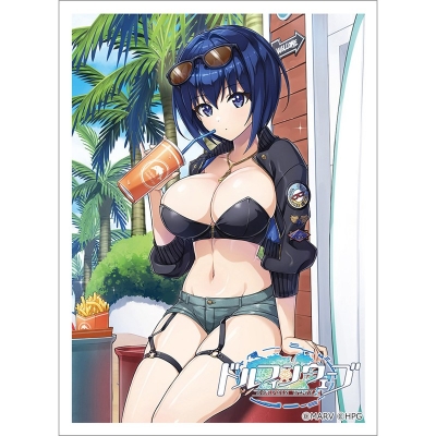 【グッズ-カードケース】ドルフィンウェーブ 描き下ろしスリーブ(都条 みちる/コーストライディング)