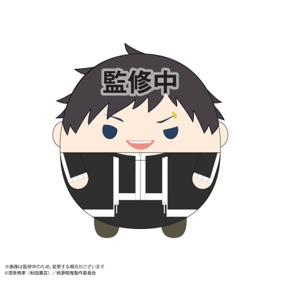【グッズ-ぬいぐるみ】桃源暗鬼 ふわコロりんBIG D:矢颪碇