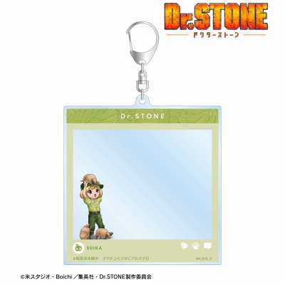 【グッズ-キーホルダー】TVアニメ「Dr.STONE」 描き下ろし スイカ 飼育係ver. SNS風BIGアクリルキーホルダー