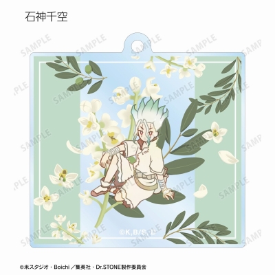 【グッズ-キーホルダー】TVアニメ「Dr.STONE」 トレーディング Botania アクリルキーホルダー