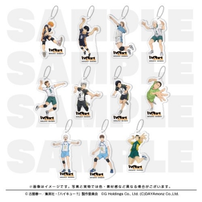 【グッズ-キーホルダー】ハイキュー!! TOUCH THE DREAM アクリルキーホルダーコレクションA【全11種】