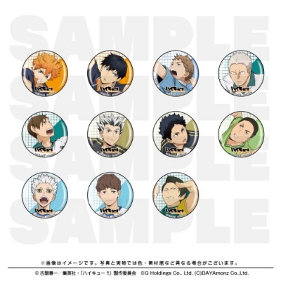 【グッズ-バッチ】ハイキュー!! TOUCH THE DREAM 缶バッジコレクションA【全11種】