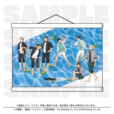 【グッズ-タペストリー】ハイキュー!! TOUCH THE DREAM タペストリー プール掃除